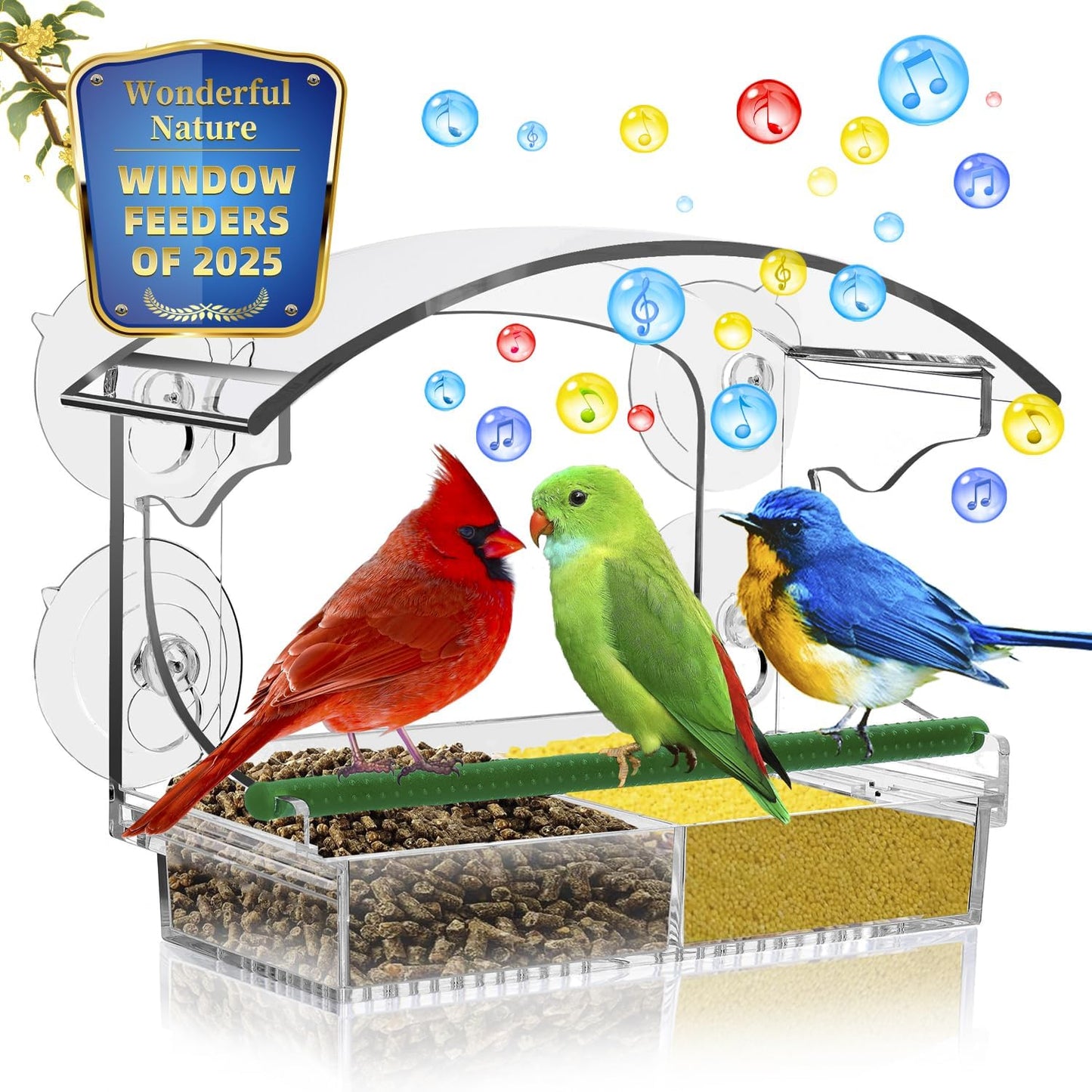 Danighoff Clear Acrylic Bird Feeder - Easy Bird Watching