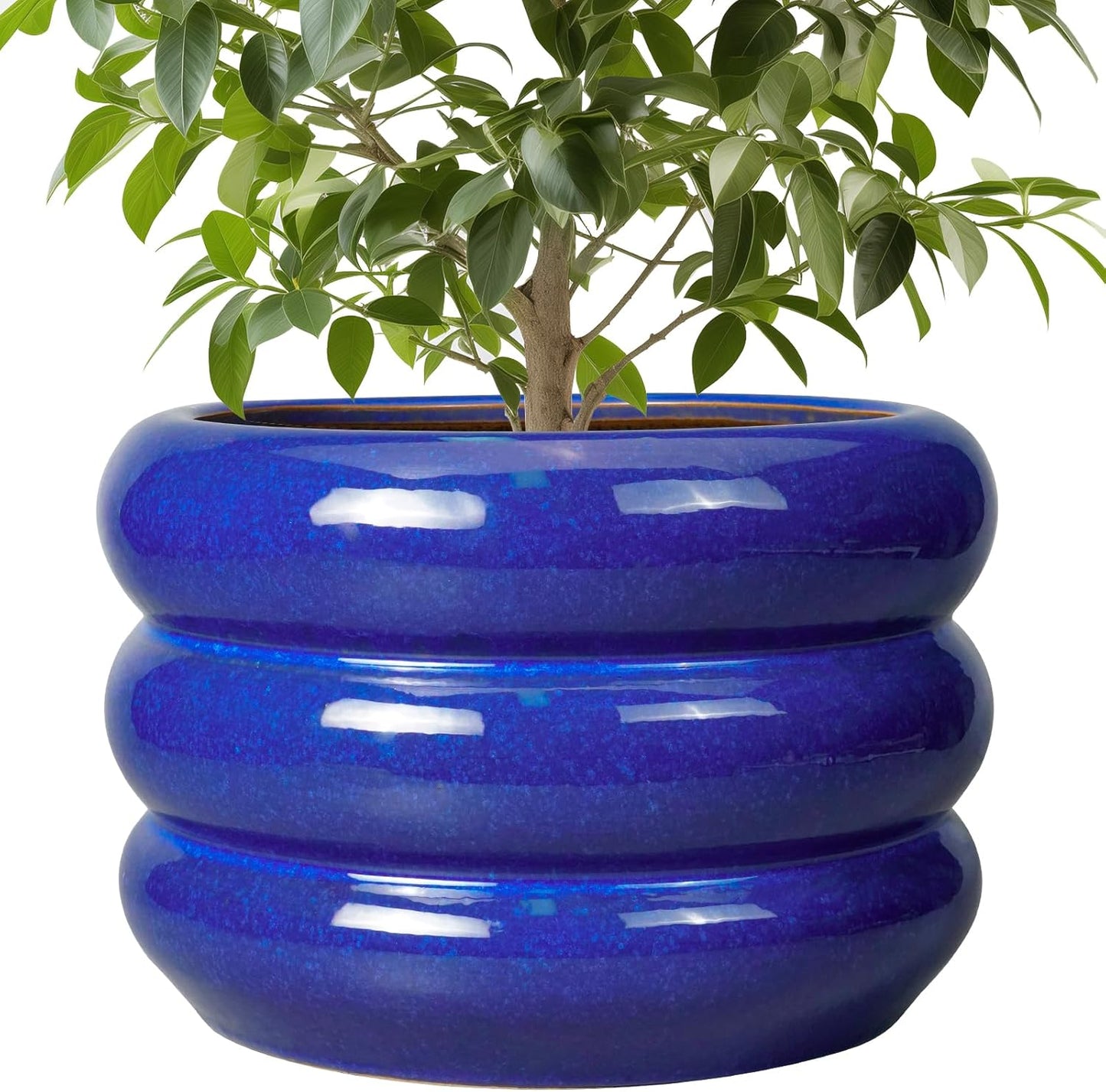 SQOWL Ceramic Plant Pot - 10 Inch Decorative Flower Pot