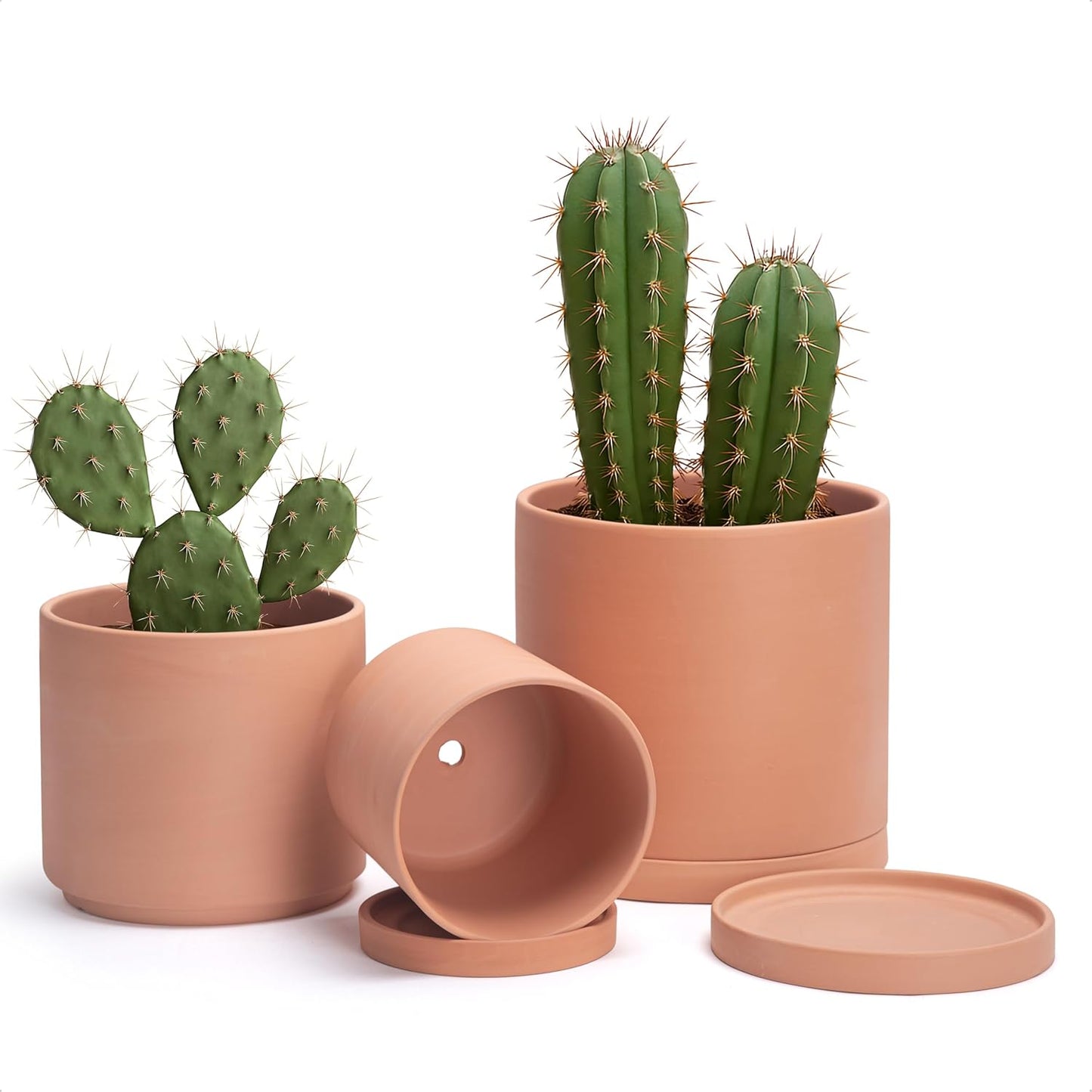 D'vine Dev Terracotta Pots for Plants - Elegant Minimalist Design