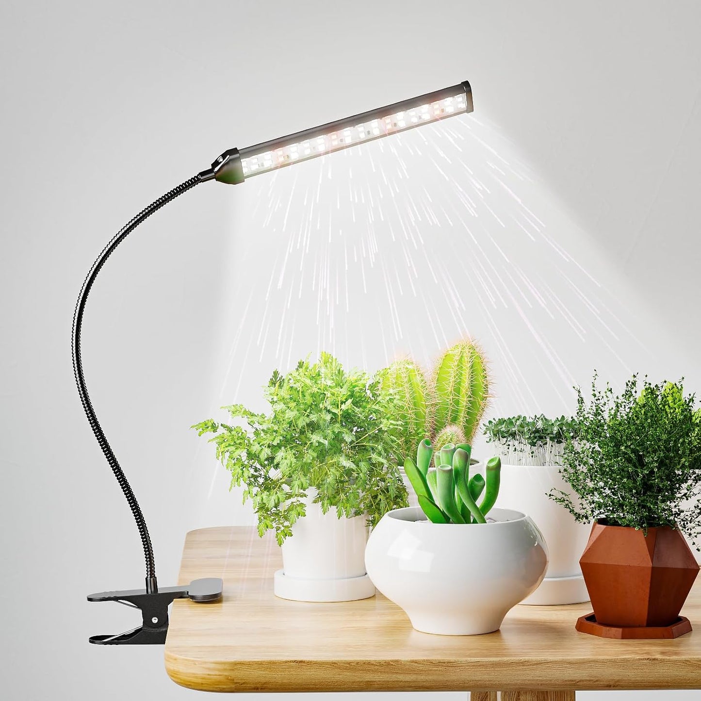 50W LED Grow Light - Full Spectrum, Adjustable Brightness