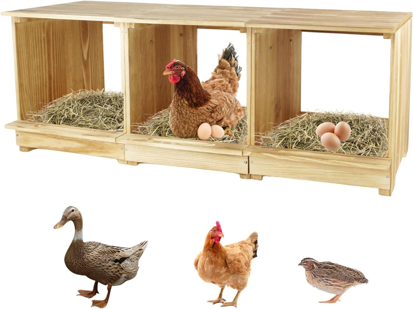 Nesting Boxes for Chickens with 3 Compartments for Hens