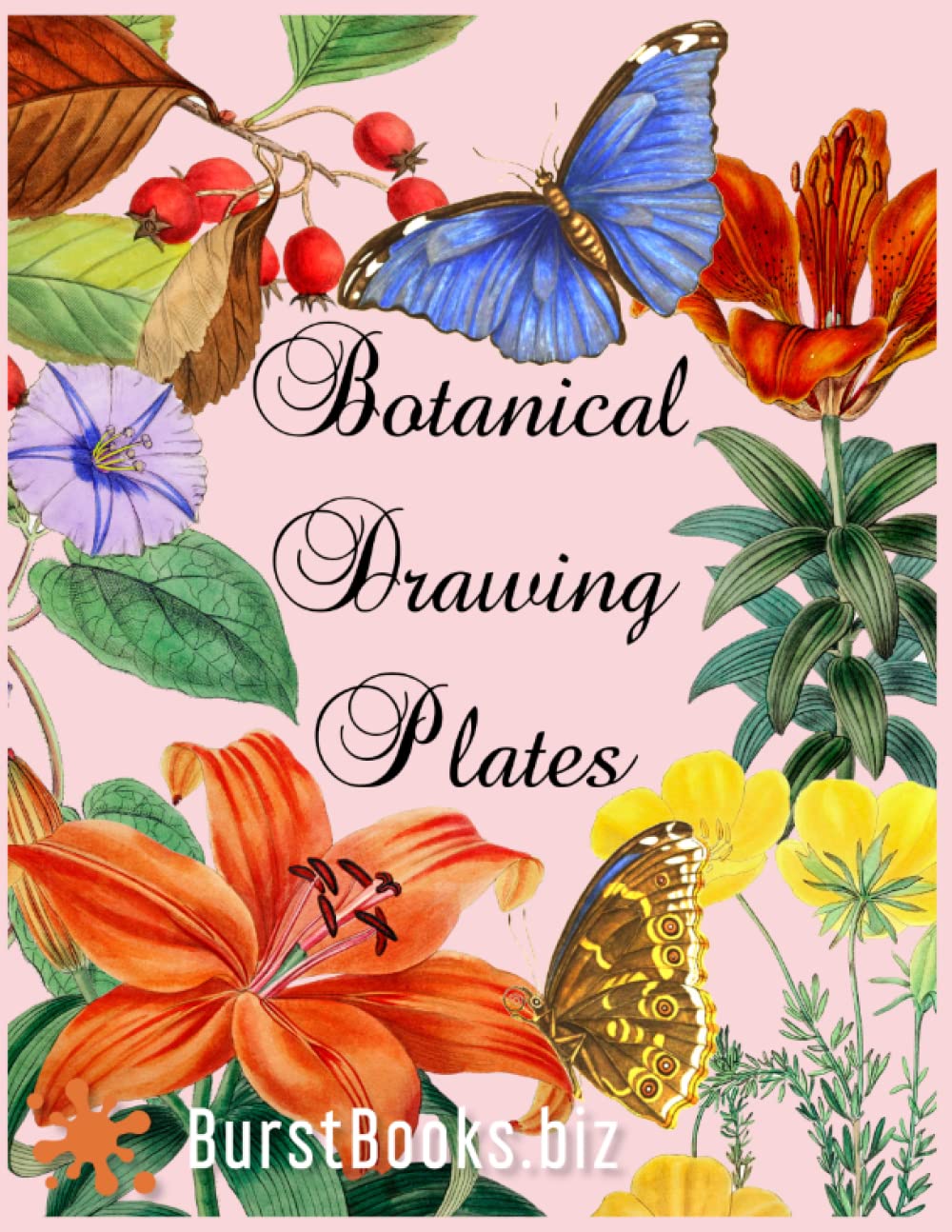 Botanical Drawing Plates: Master Classical Flower & Plant Art