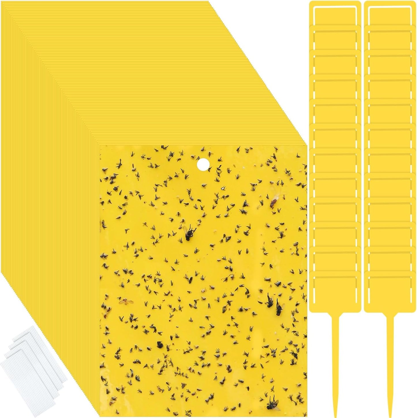 Qualirey 250 Pcs Sticky Traps for Gnats and Fruit Flies