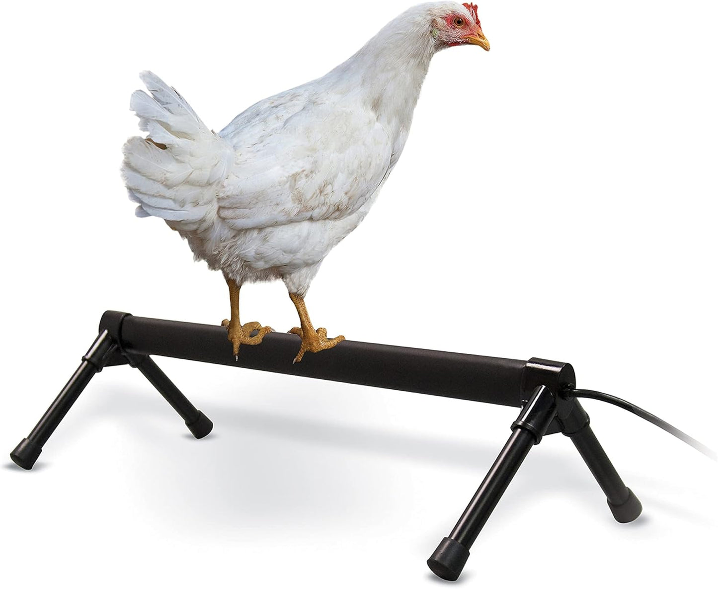 K&H Thermo Heated Chicken Perch - Prevents Frozen Toes