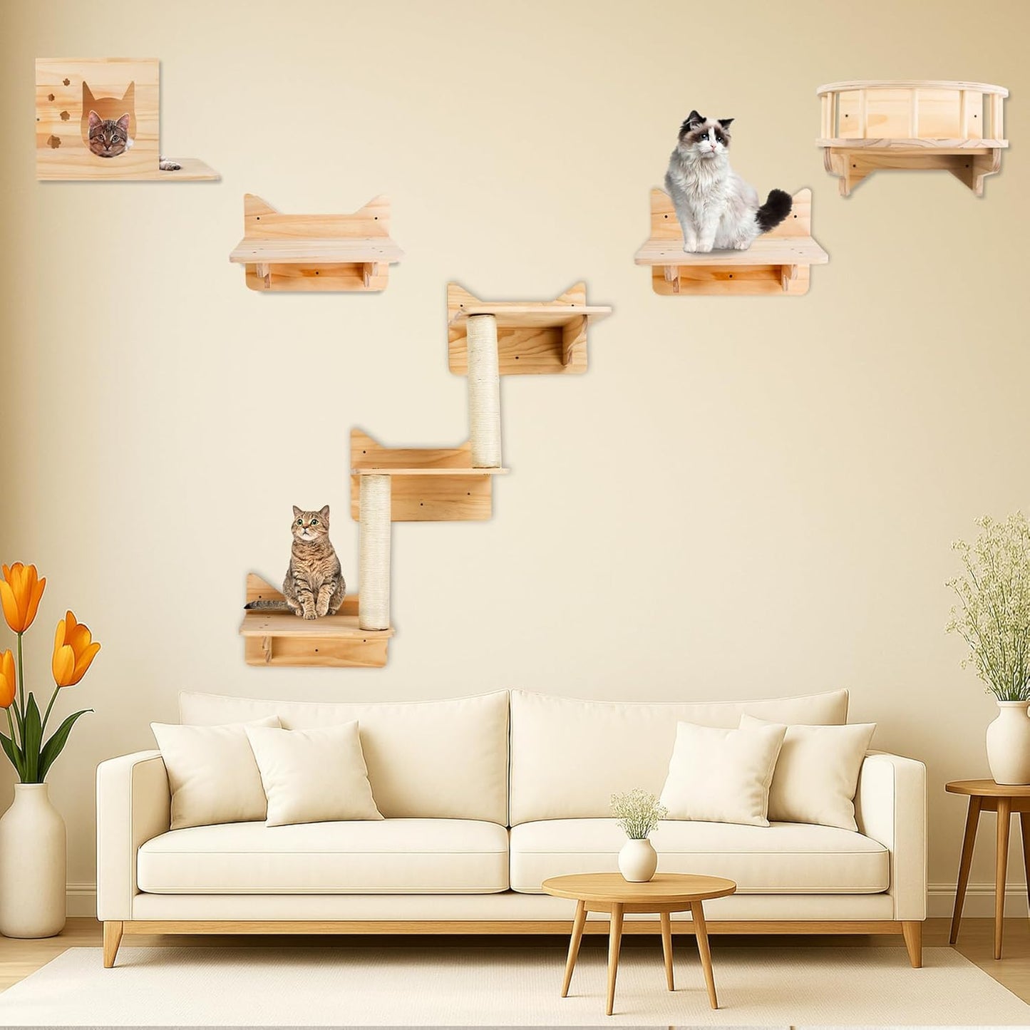 Cat Wall Shelves Furniture Set for Indoor Climbing and Perching
