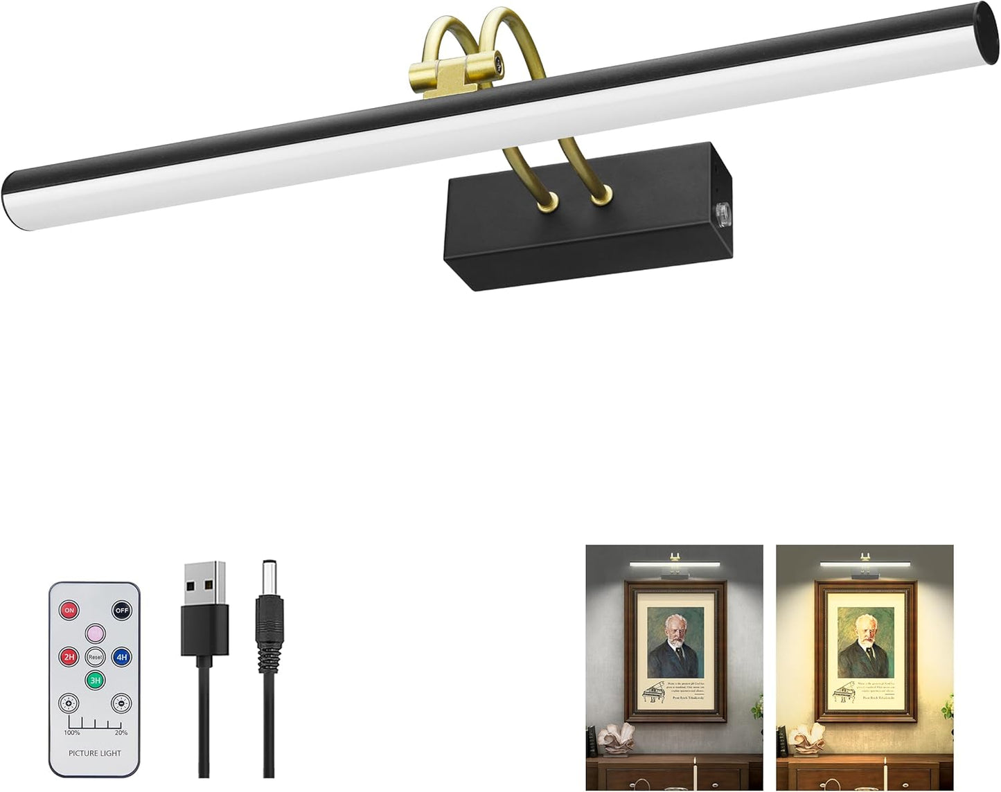 Wireless Battery Picture Light for Art with Remote Control