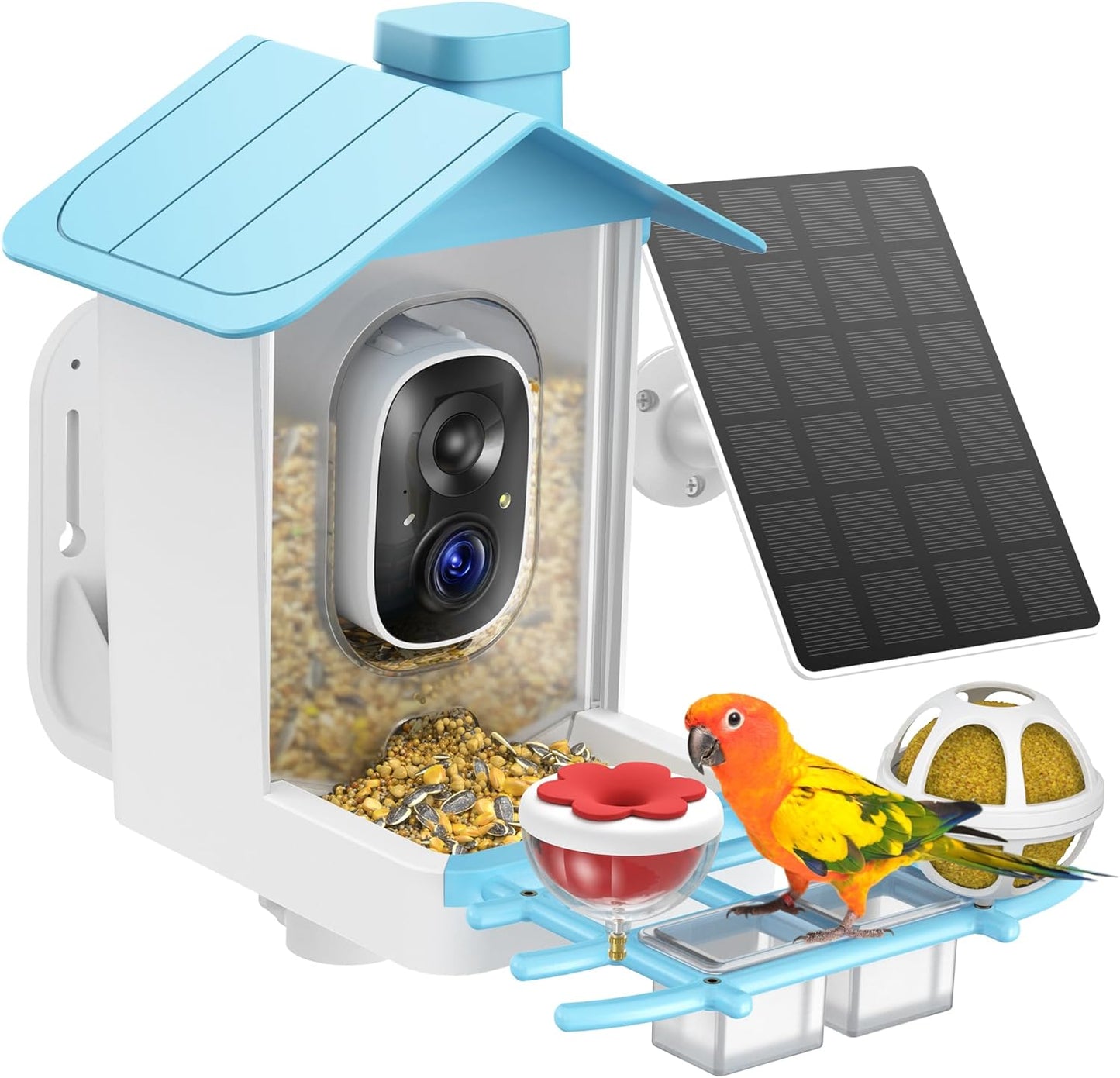AI Bird Watching Cam, Solar Powered - 2K Live View