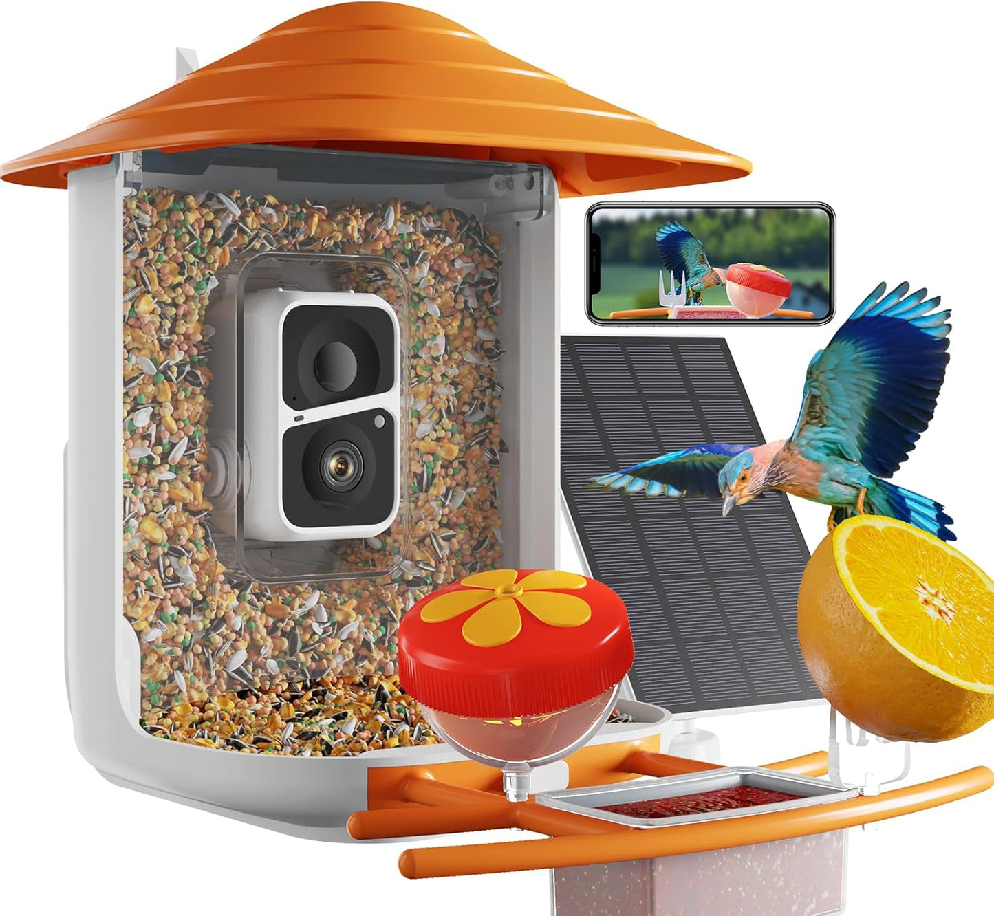 Smart Bird Feeder with Camera - AI Bird ID, Auto Capture Videos