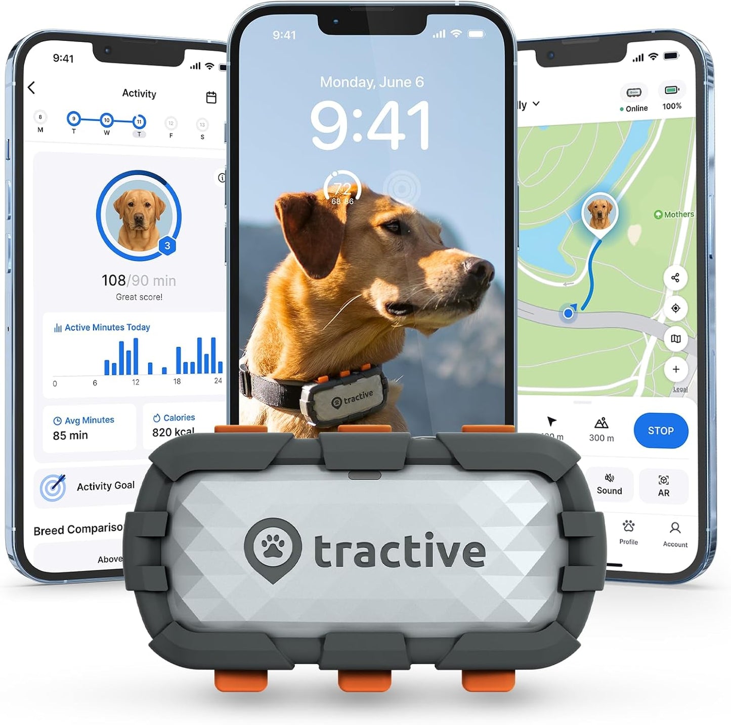 Tractive XL Smart Dog GPS Tracker for Real-Time Location Tracking