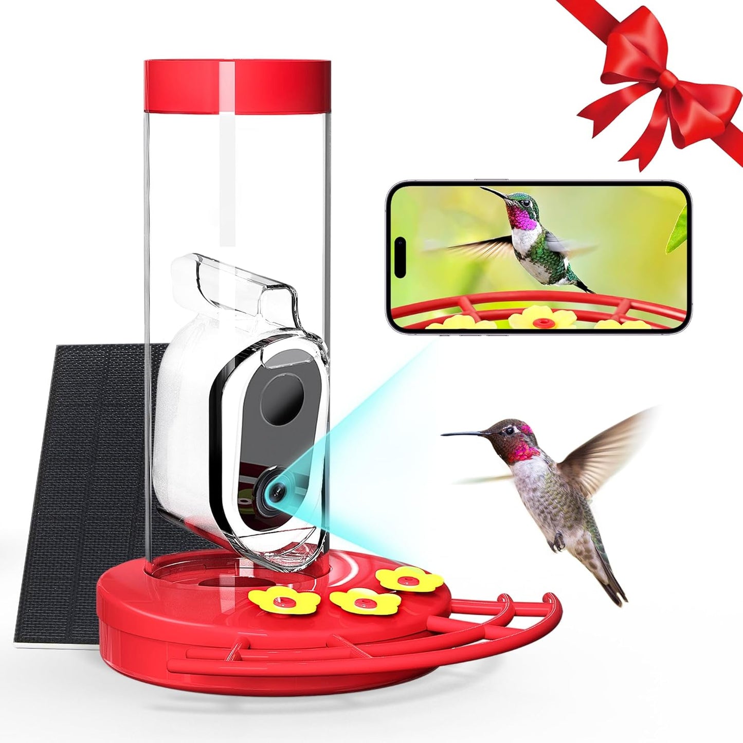Solar-Powered Hummingbird Feeder with AI Camera