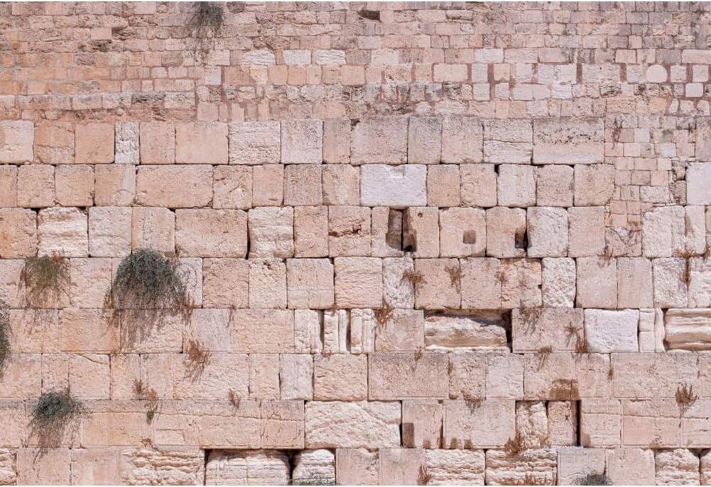 CSFOTO 12x8ft Western Wall Backdrop for Stunning Photography