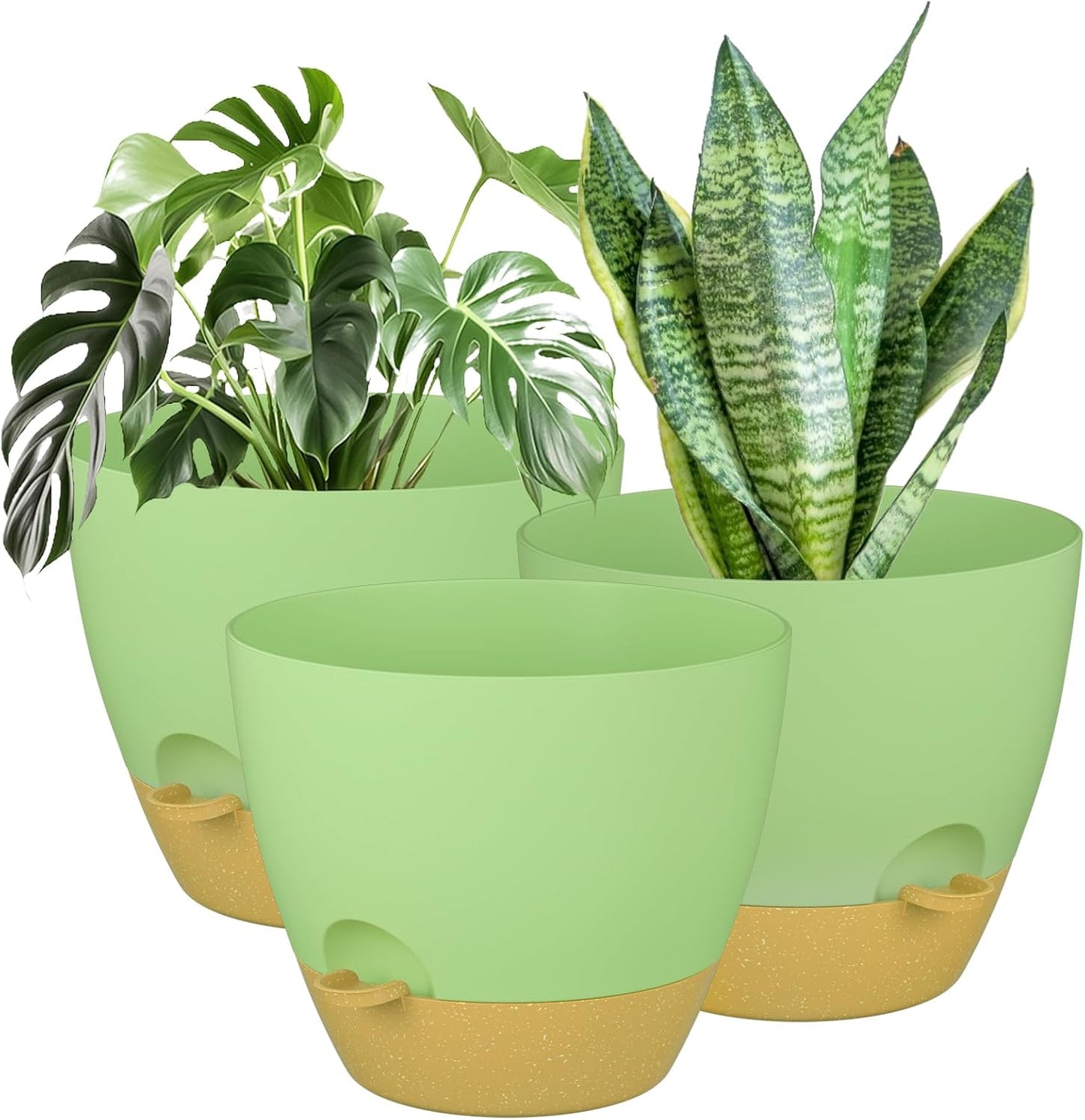Self Watering Plant Pot Set for Indoor and Outdoor Use