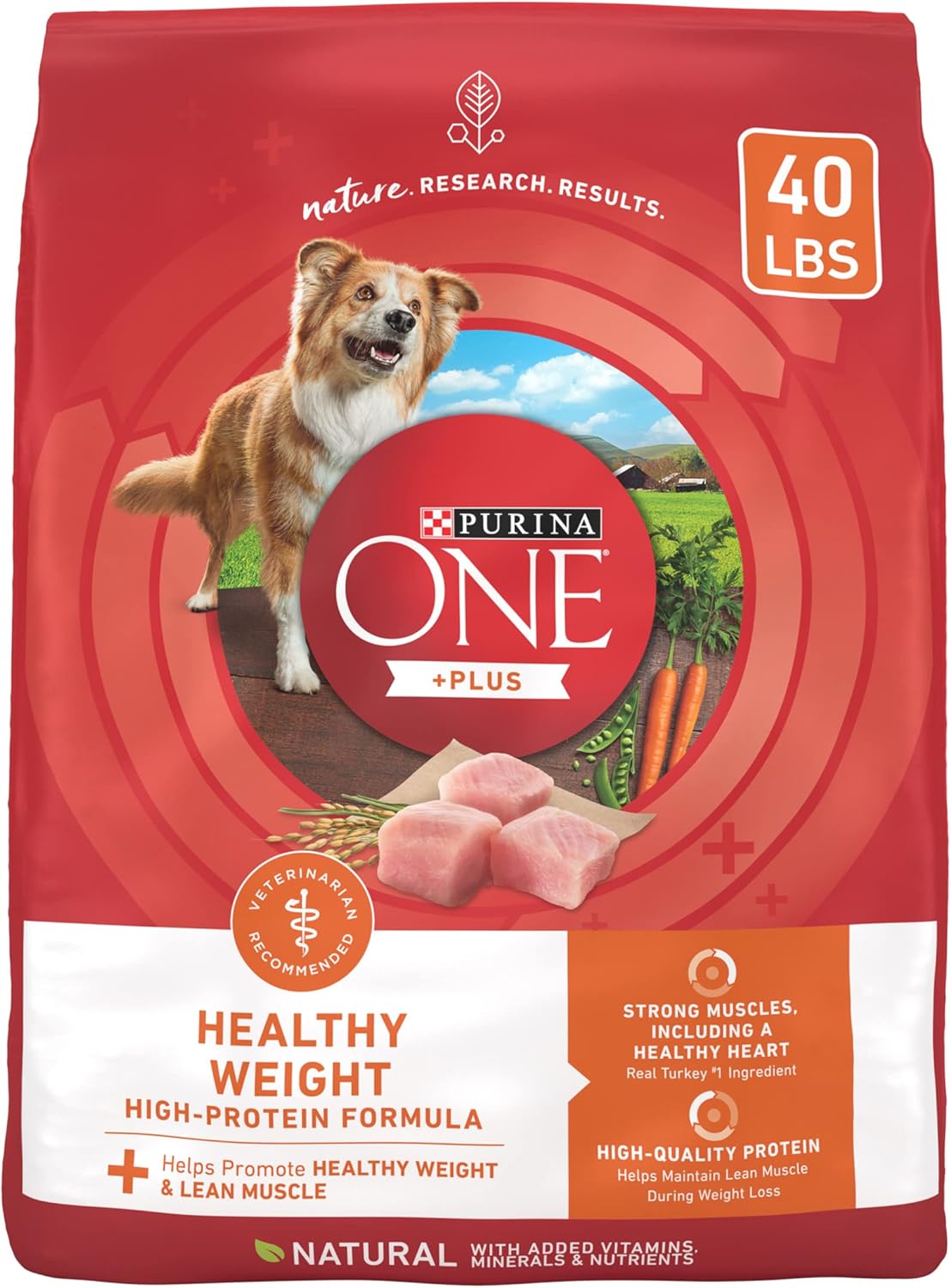 Purina One High Protein Healthy Weight Dog Food with Real Turkey