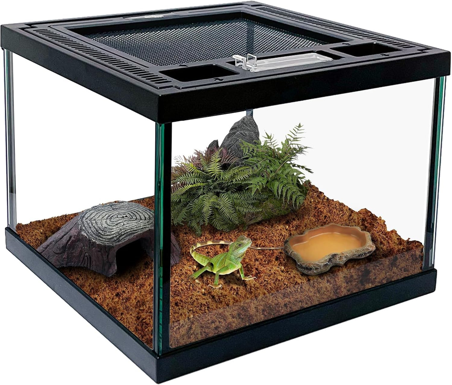 Mini Reptile Glass Terrarium Tank for Frogs and Spiders