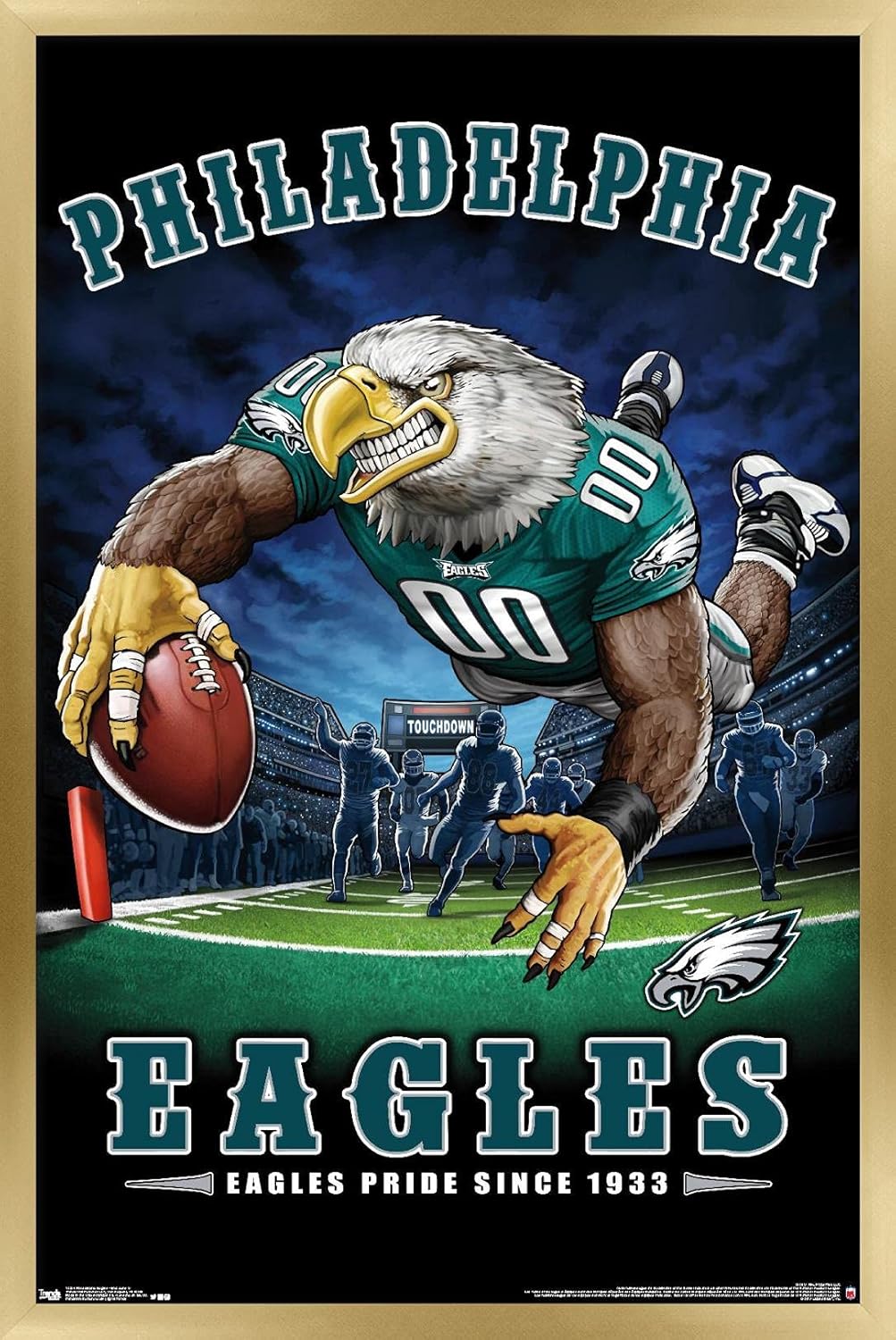 NFL Philadelphia Eagles End Zone 17 Wall Poster for Fans
