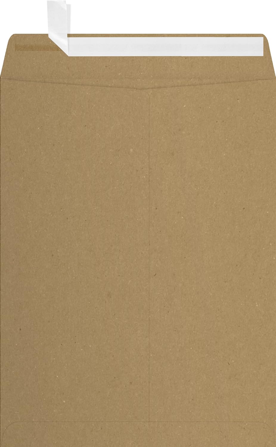 LUXPaper 9 x 12 Open End Envelopes for Business and Personal Use