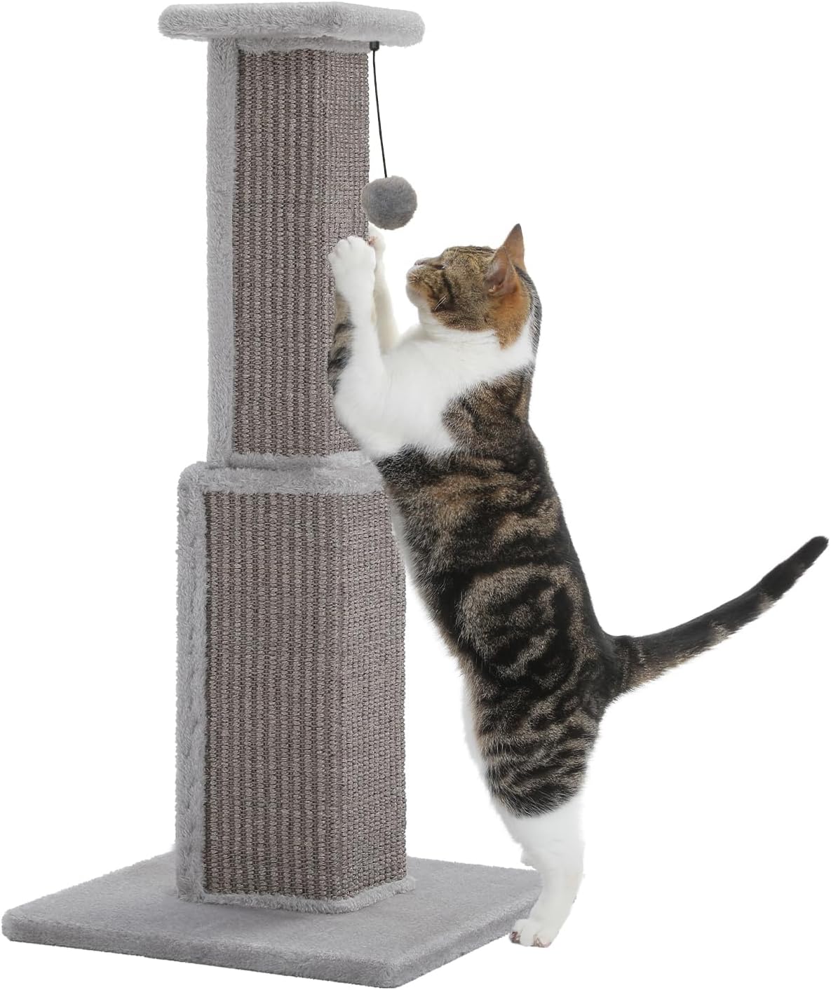 PAWZ Road Large Cat Scratching Post for Indoor Cats 32 in Tall