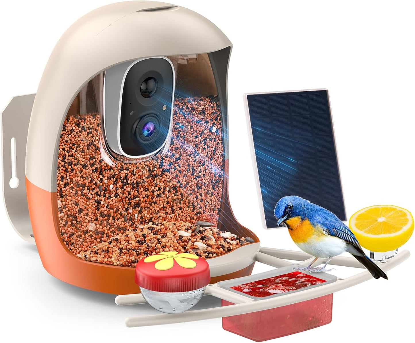 4K Smart Bird Feeder - AI Identify, Auto Capture, Instant Notify