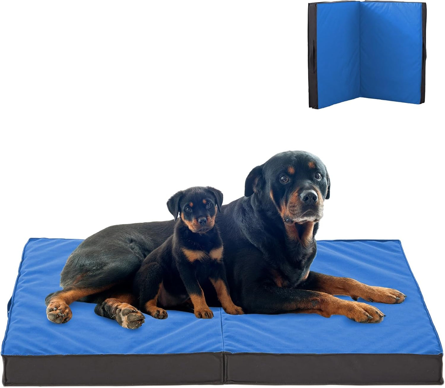 Outdoor Dog Bed - Waterproof, Portable, Foldable for Large Dogs