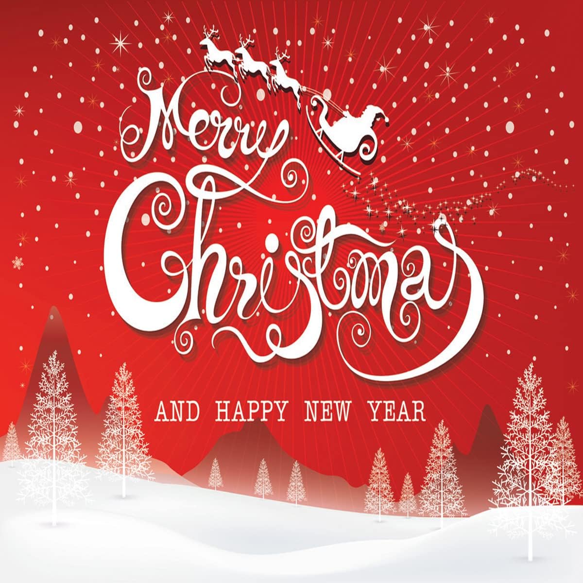 8x8FT Merry Christmas Backdrops for Photography Winter Snowflake