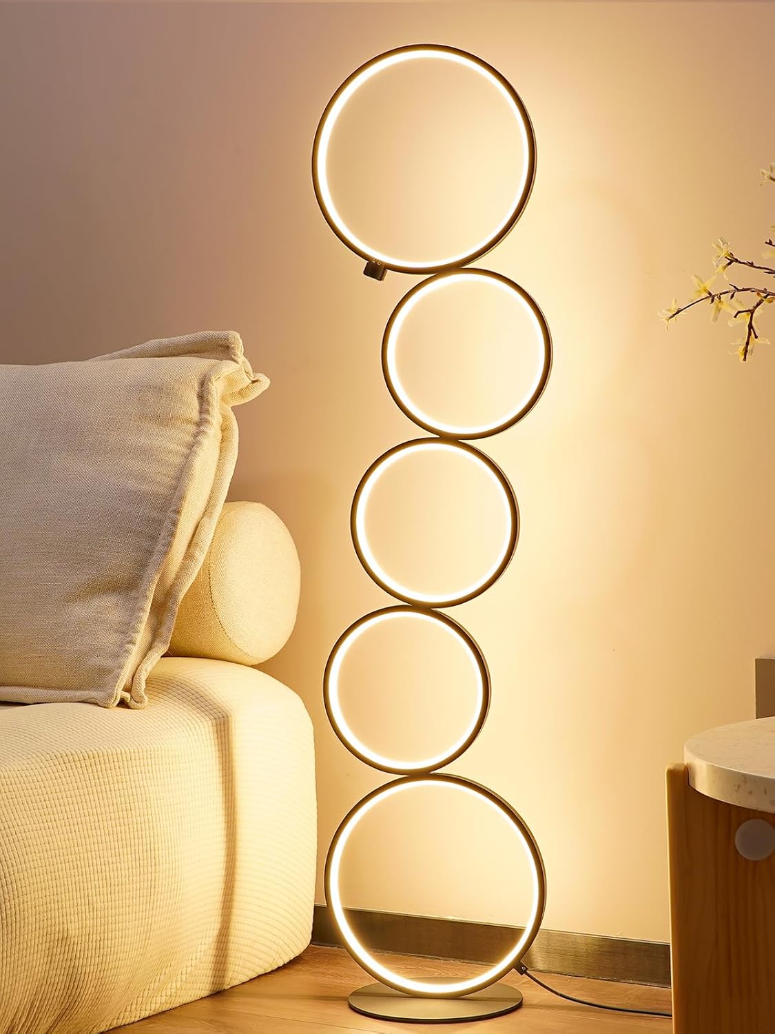 Modern LED Floor Lamp for Living Room, Dimmable Circle Design