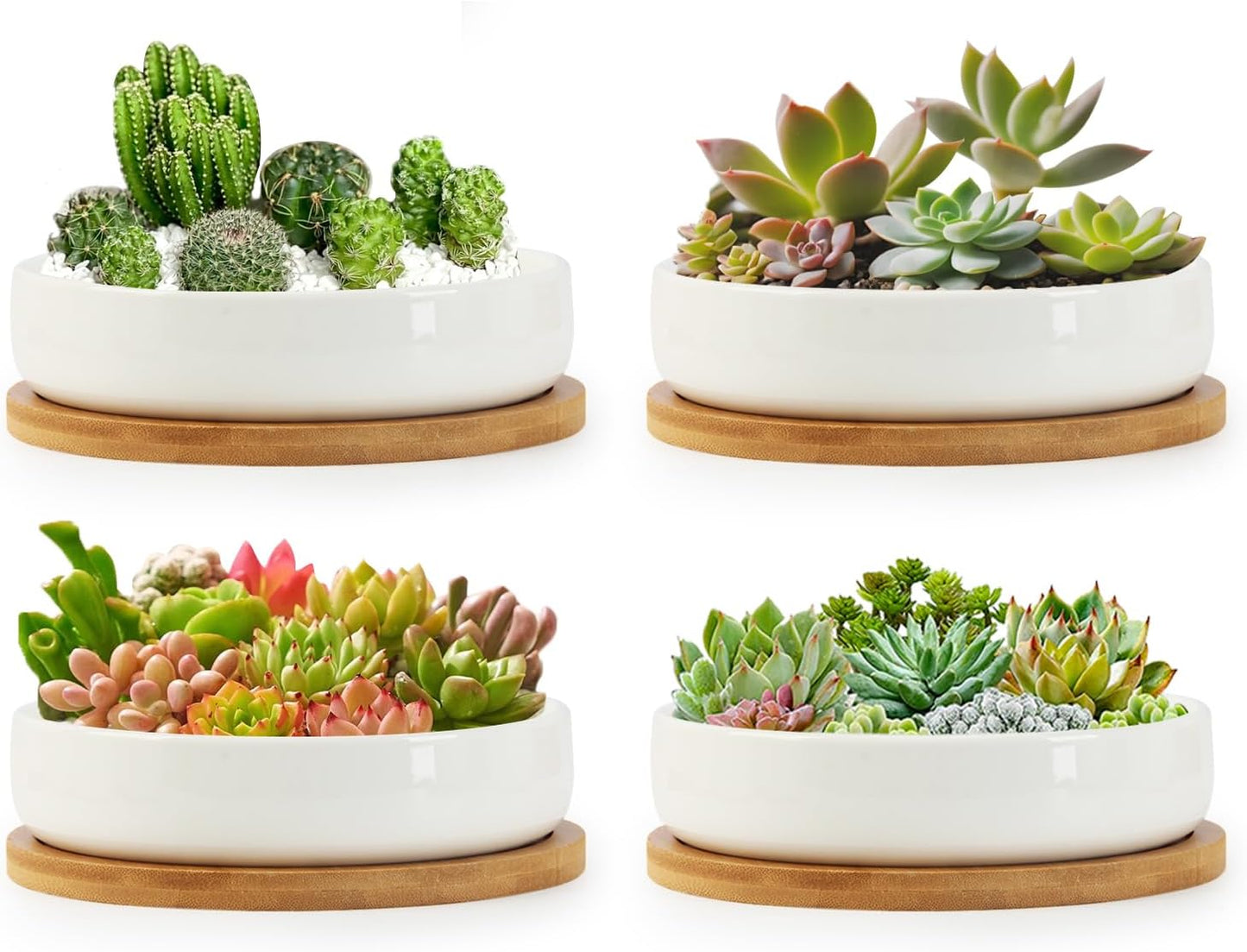 ZOUTOG Succulent Pots - 6 Inch Ceramic Planters with Drainage