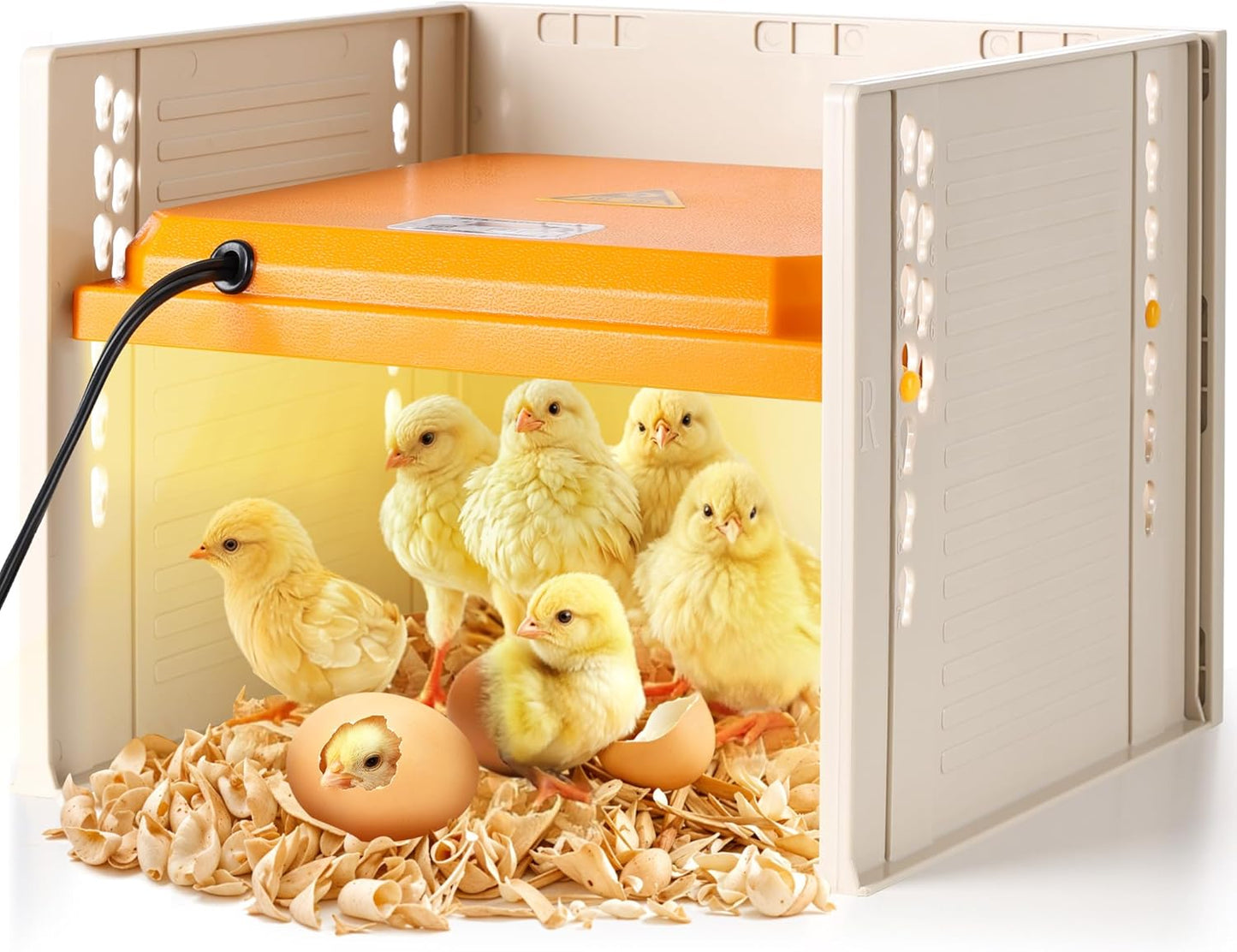 POMINEL Chick Brooder: Adjustable Heat Plate for Happy Chicks