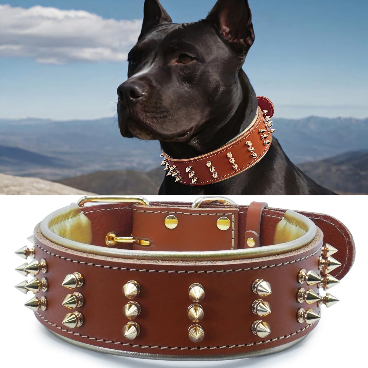Spiked Leather Dog Collar for Powerful Breeds in Fiery Orange