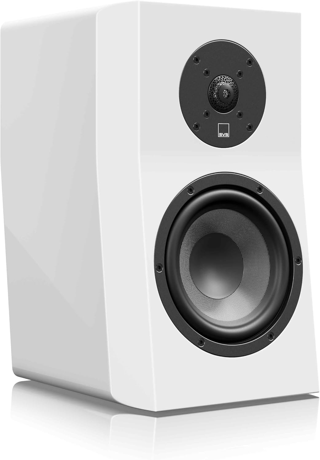 Immerse in Crystal Clear Sound with SVS Evolution Speakers