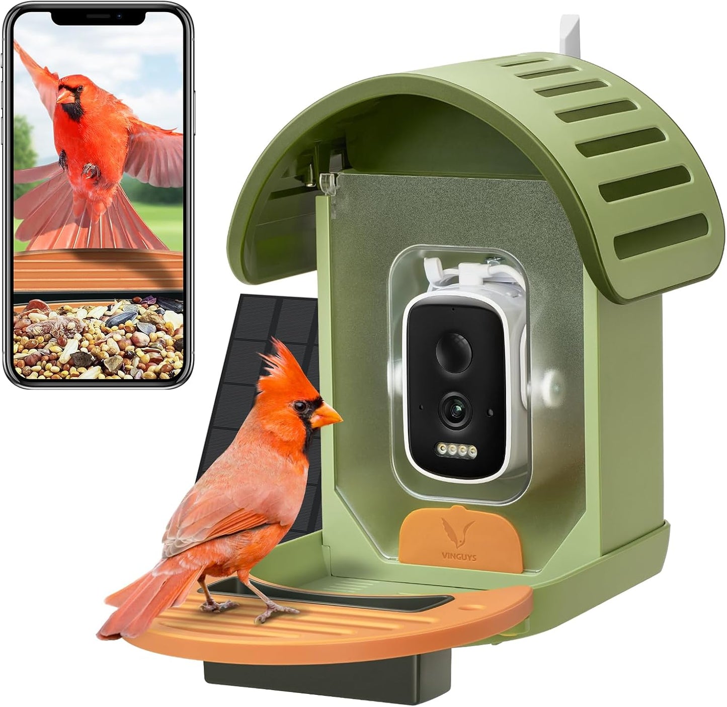 2.5K UHD Smart Bird Feeder Camera - AI IDs 11,000+ Birds!