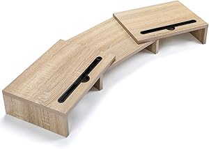 LORYERGO Dual Monitor Stand for Desk with Adjustable Features