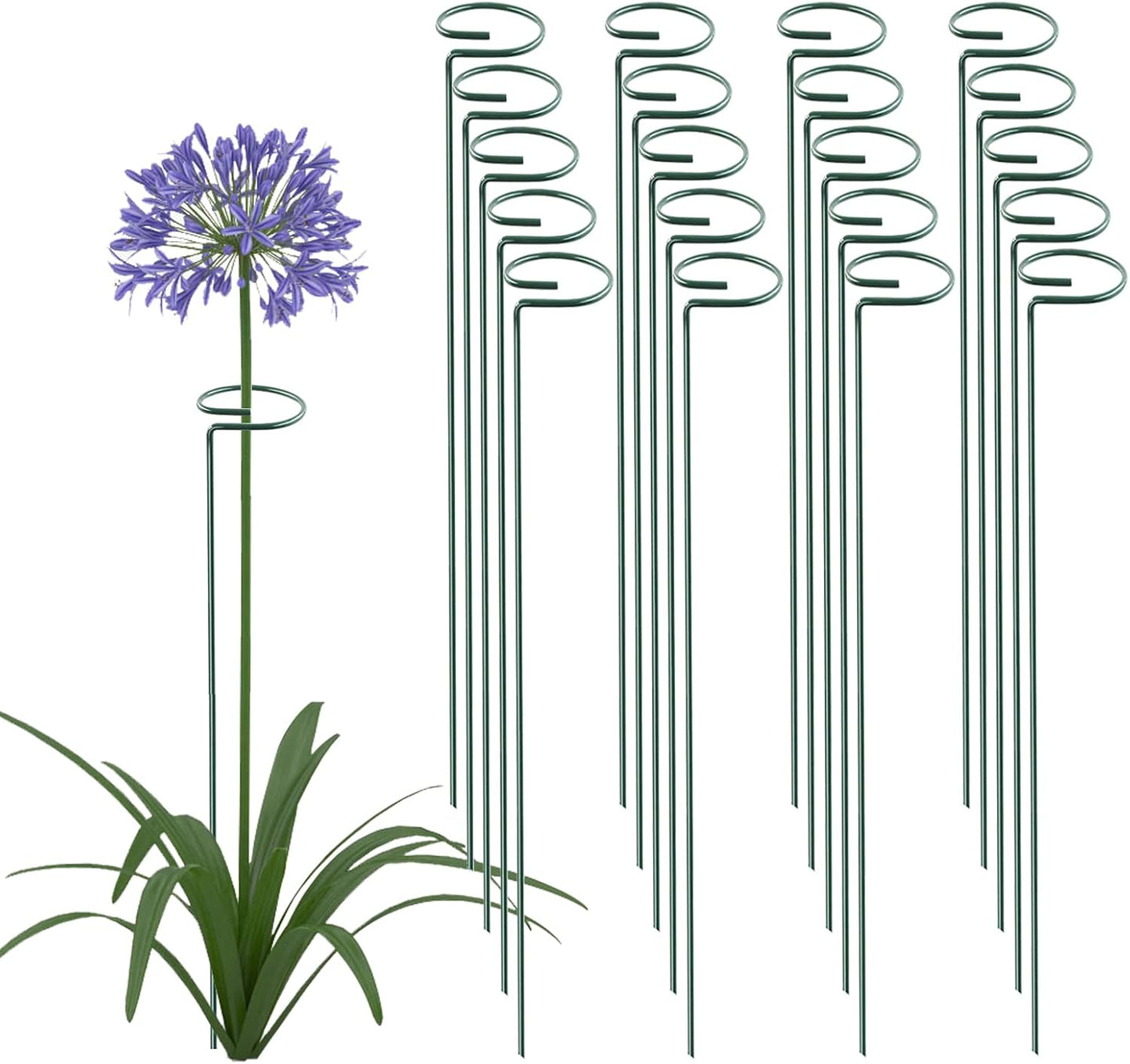 36 Inch Plant Support Stakes for Flowers and Vegetables - 20 Pack