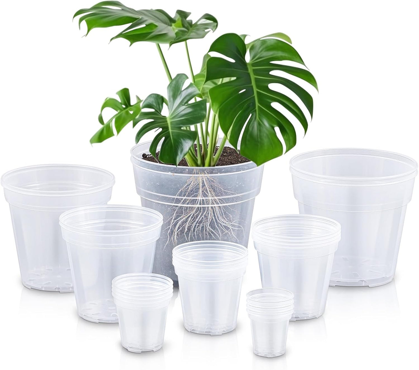 Versatile 24 Pcs Clear Nursery Pots for All Your Planting Needs