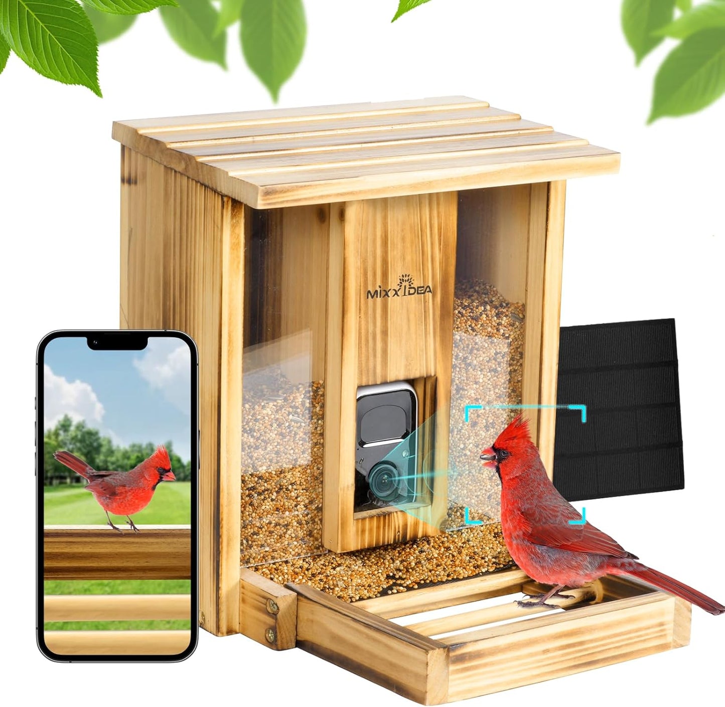 Smart Bird Feeder w/ Camera & AI Identify
