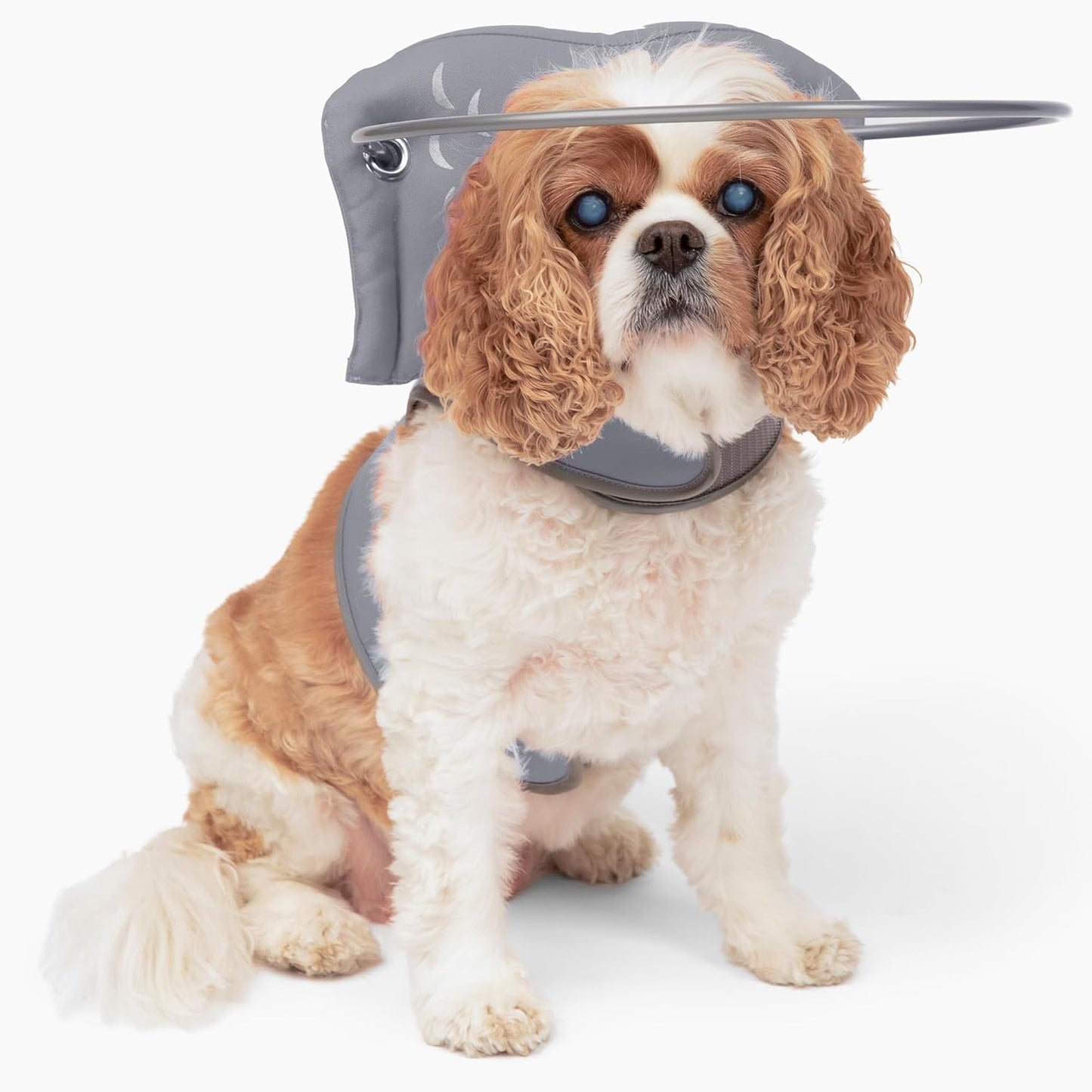 Muffins Halo Original Blind Dog Harness & Bumper Collar Accessory