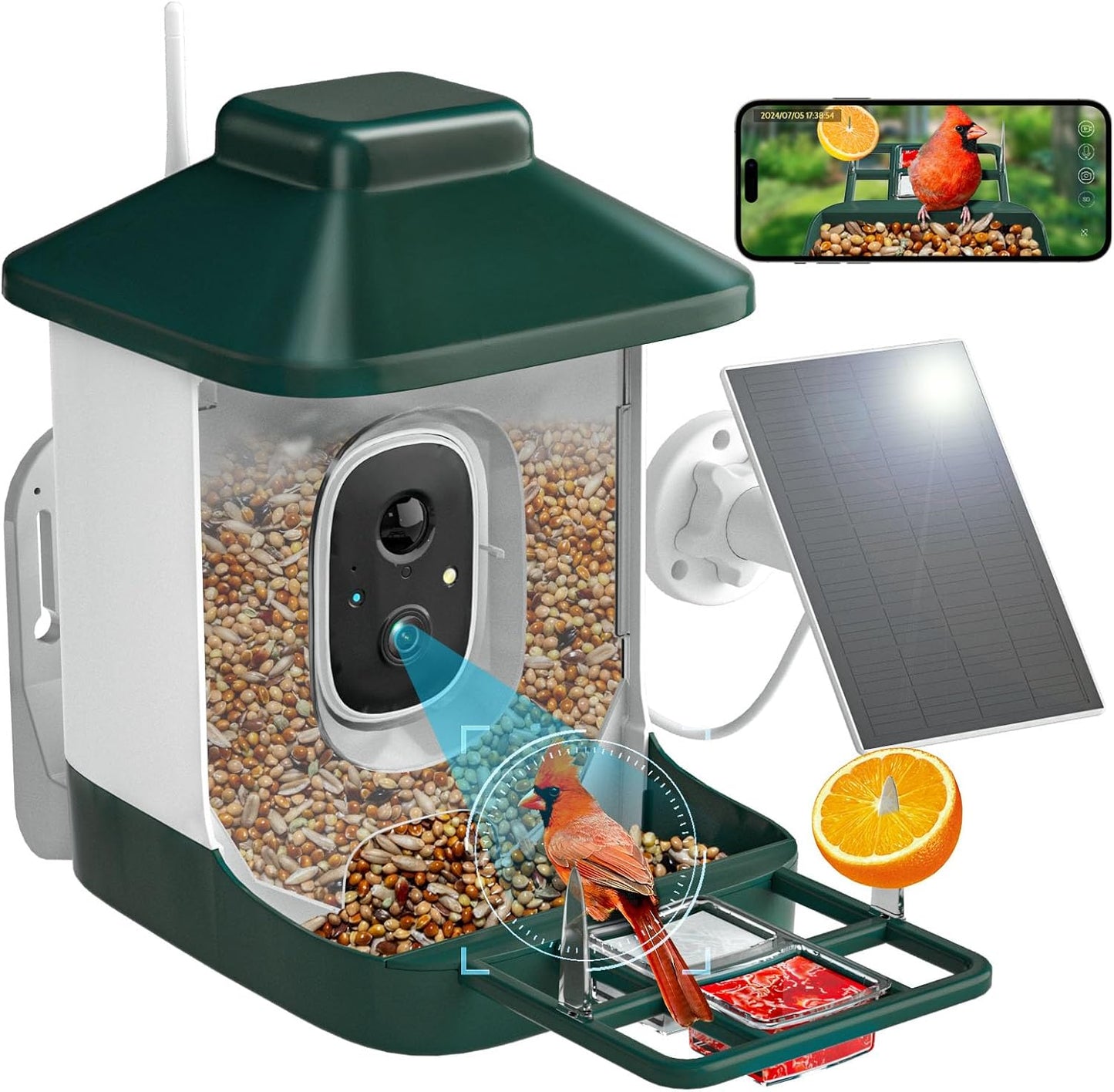 NAVFS AI Smart Bird Feeder with Camera - Perfect Gift