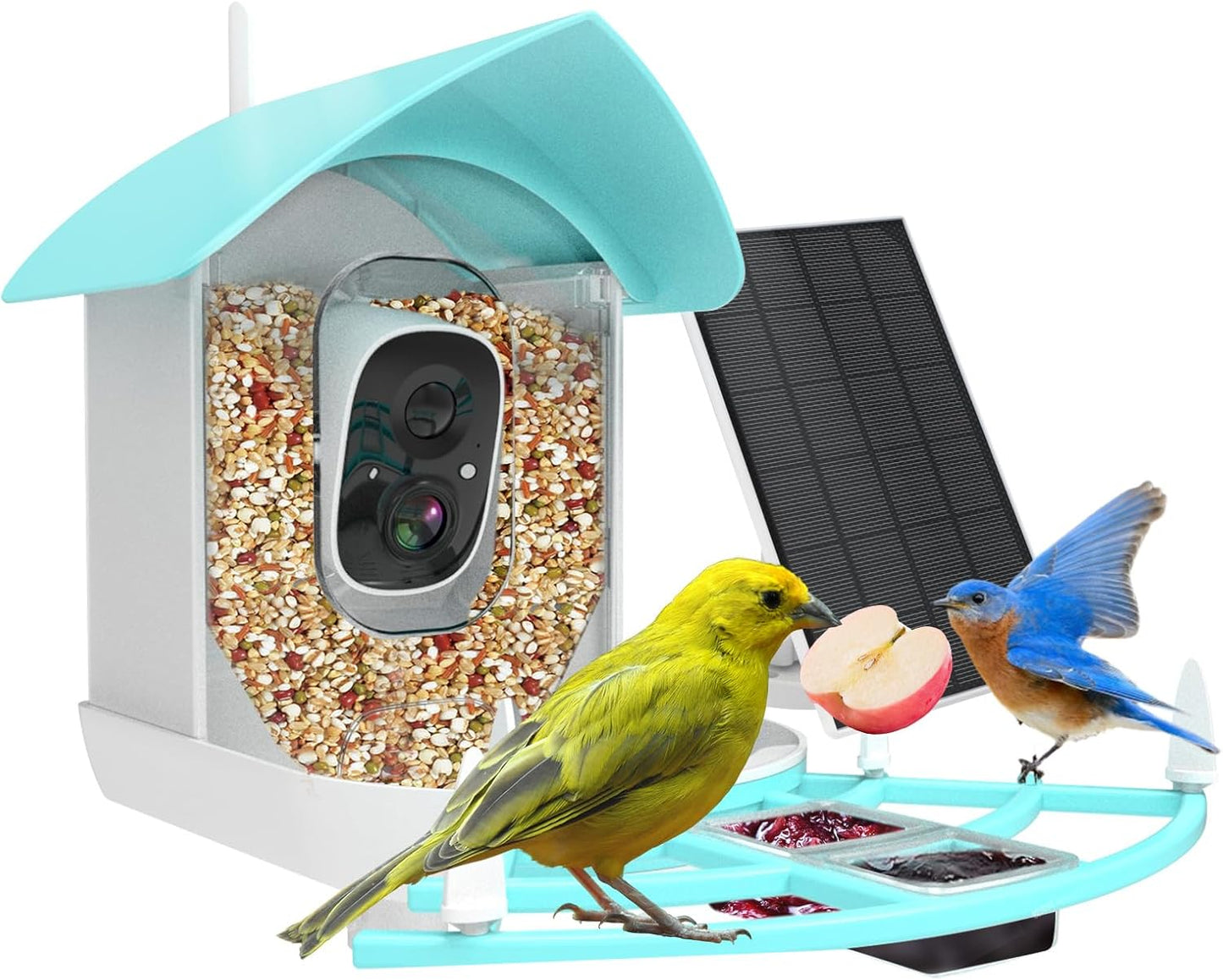 AI Bird Breed ID Camera, Solar WiFi, 2K FHD, Motion Detection