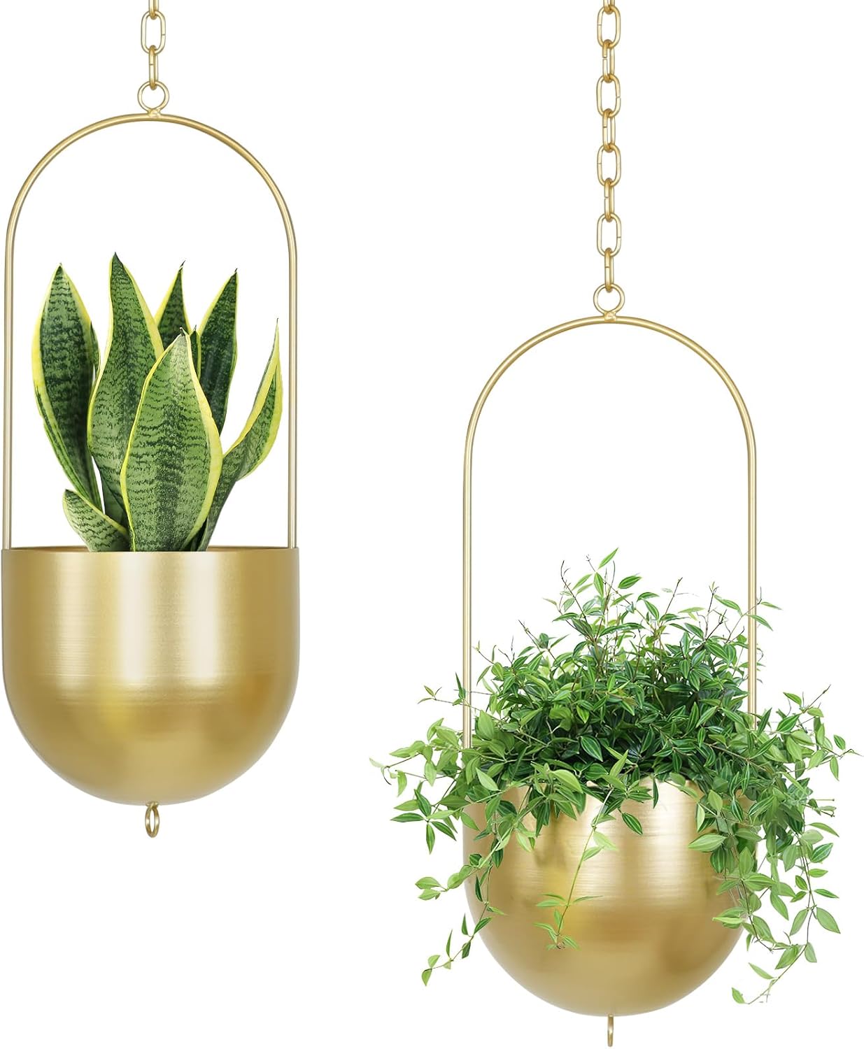 6-Inch Gold Hanging Planter for Indoor Plants and Succulents