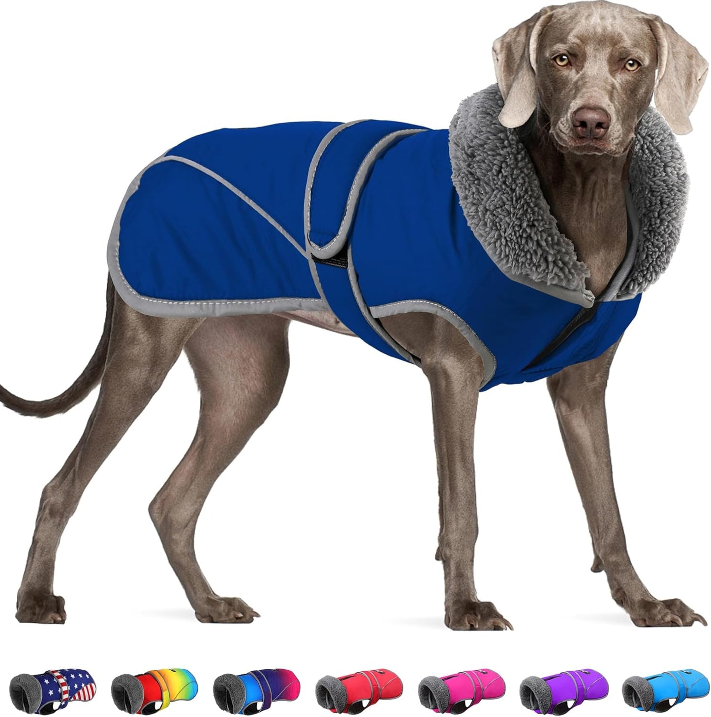 Dogcheer Waterproof Dog Coat for Cold Weather and Winter Fun