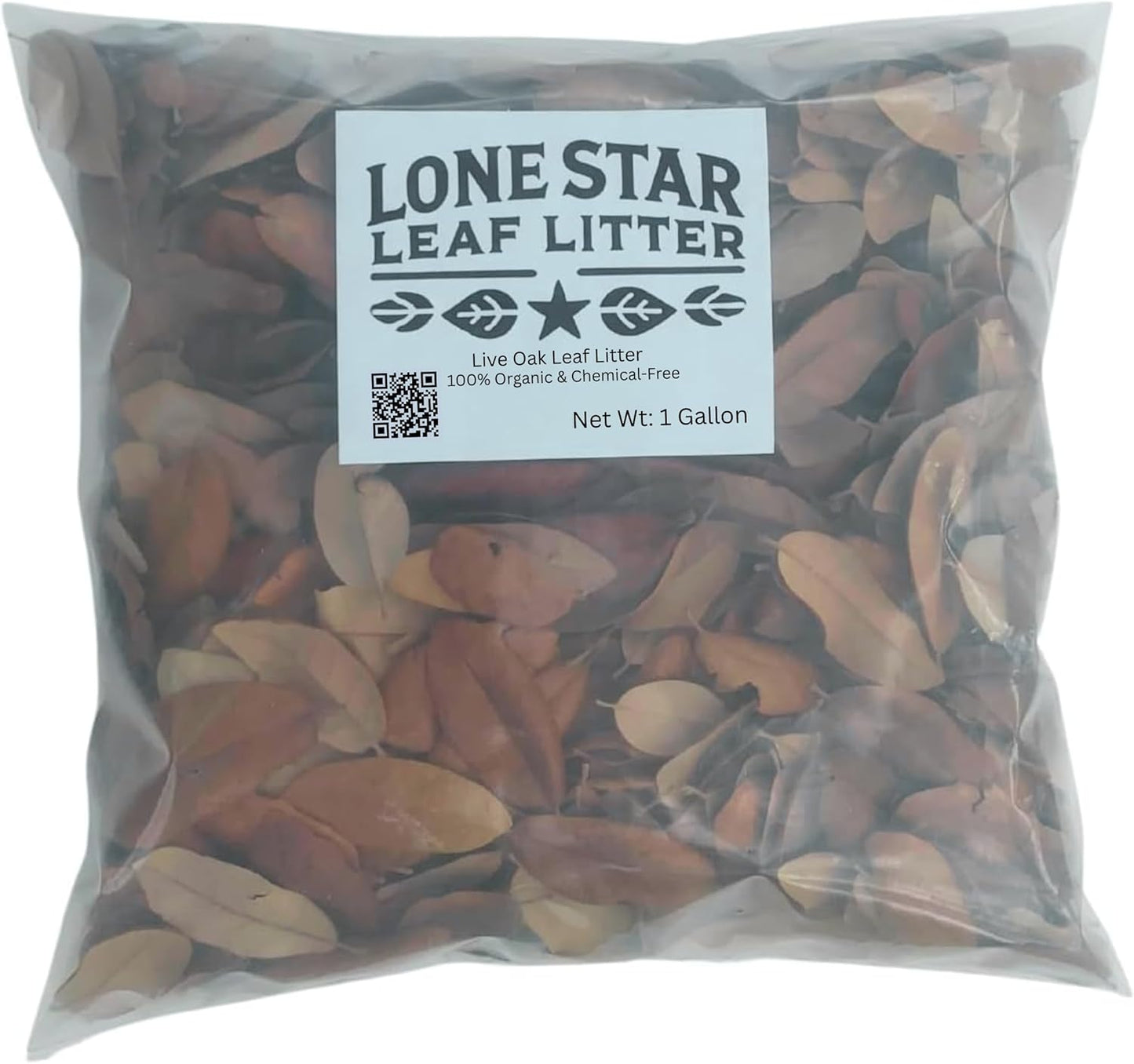 Texas Live Oak Leaf Litter for Reptiles and Bioactive Habitats