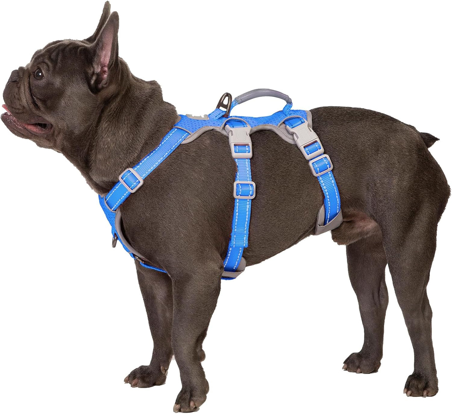 Escape Proof Dog Harness for Small Dogs - Reflective & Durable