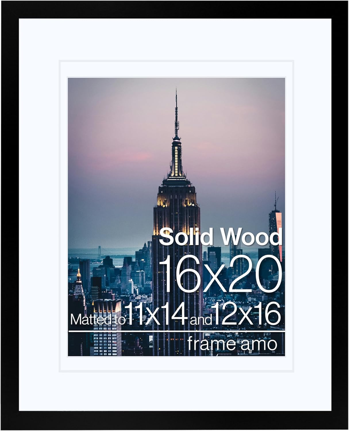 Frame Amo 16x20 Black Solid Wood Poster Frame with Mat