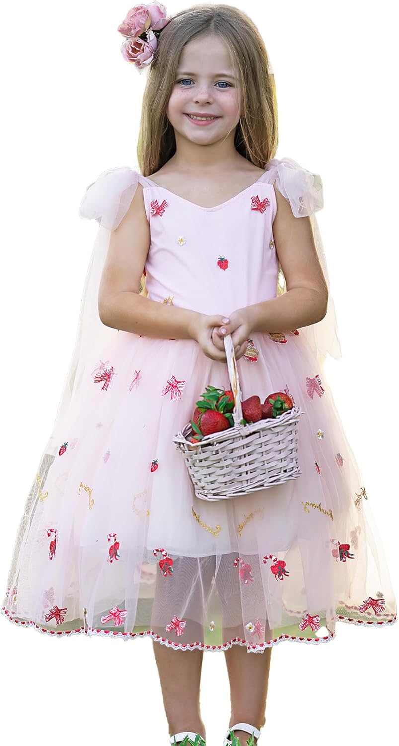 Flower Girl Dress for Toddler Girls - Floral Embroidered Tulle