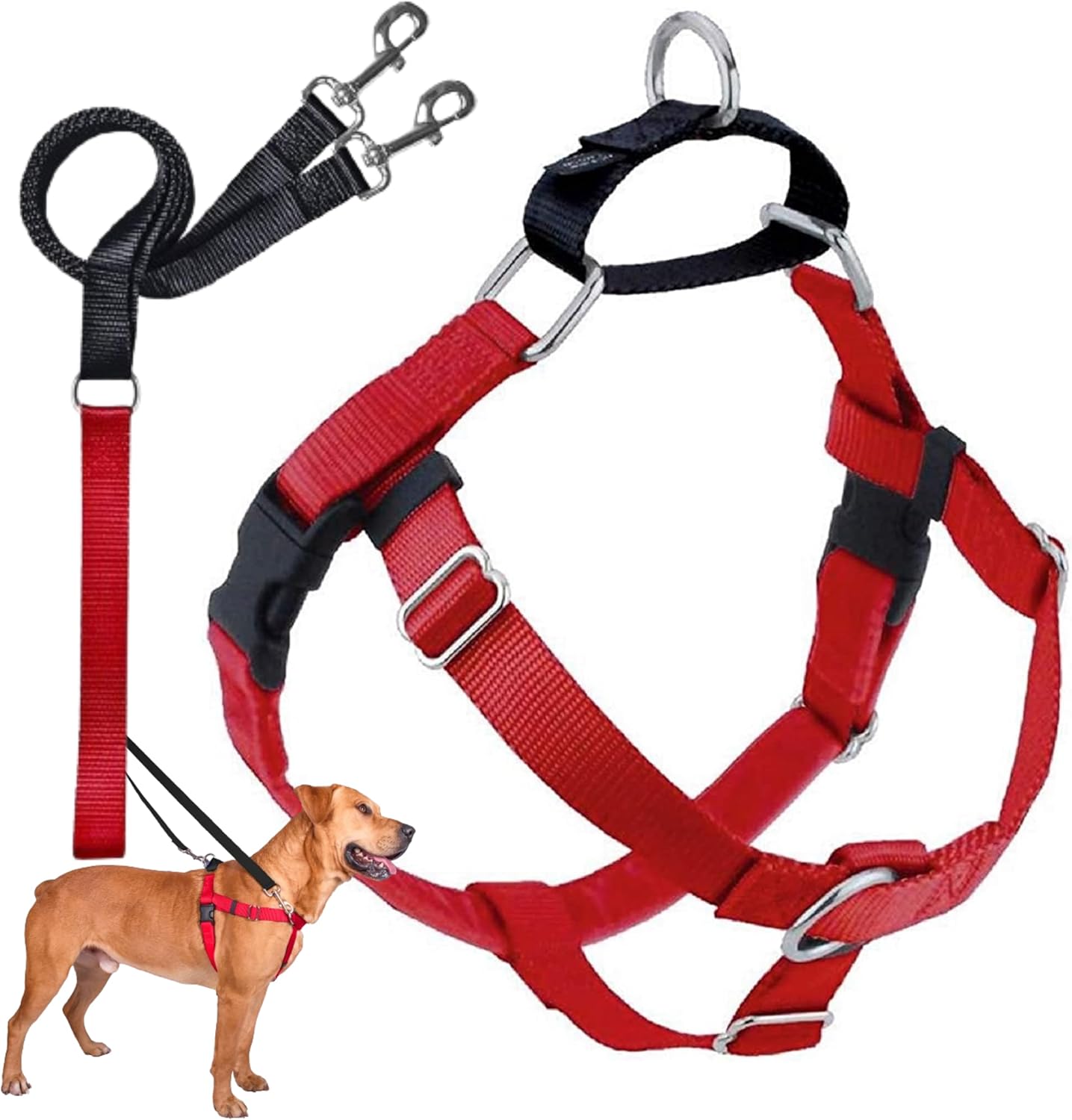 Freedom No Pull Dog Harness for Easy Walking & Control