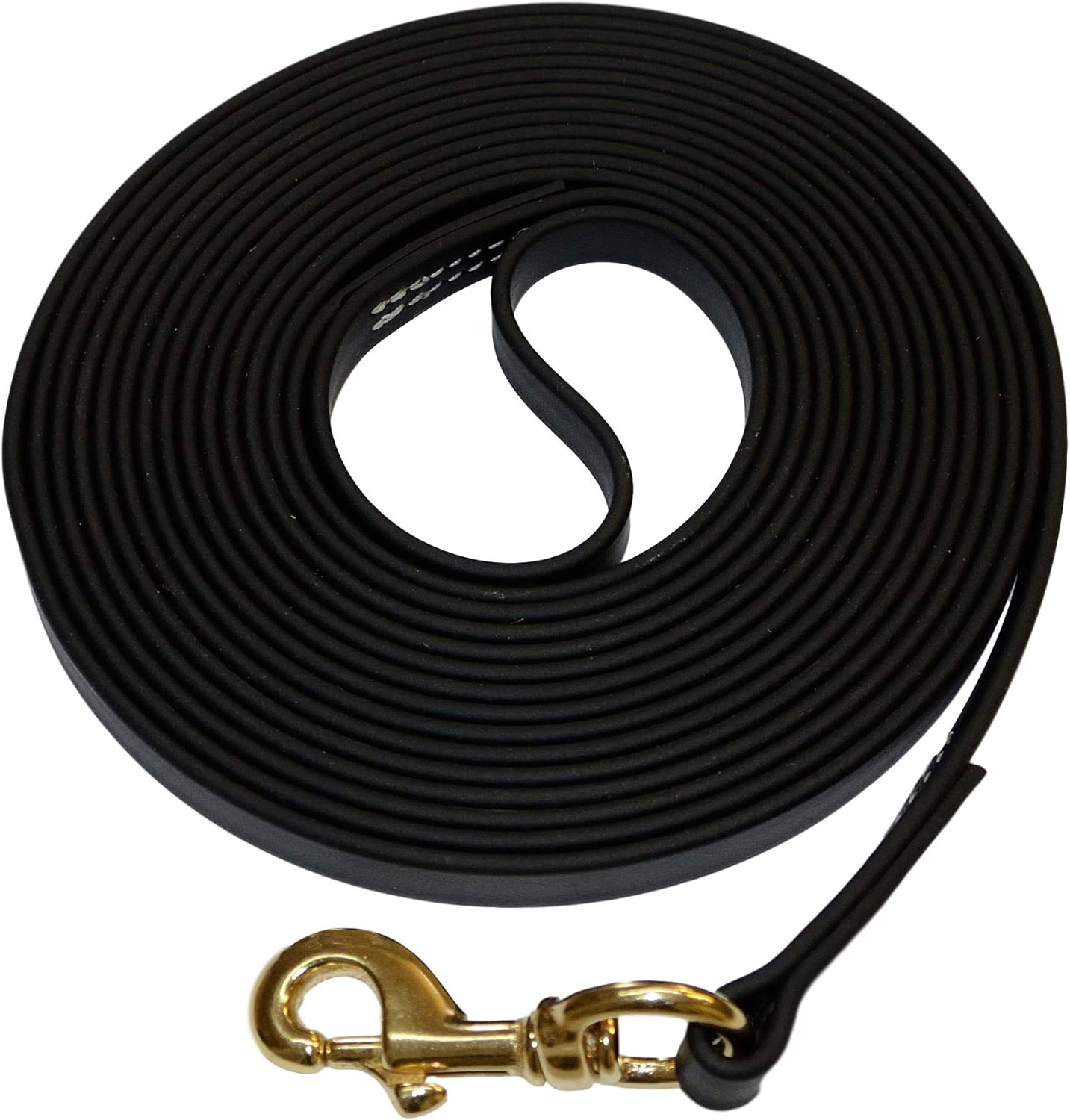 Biothane Waterproof All Weather Dog Leash for All Seasons