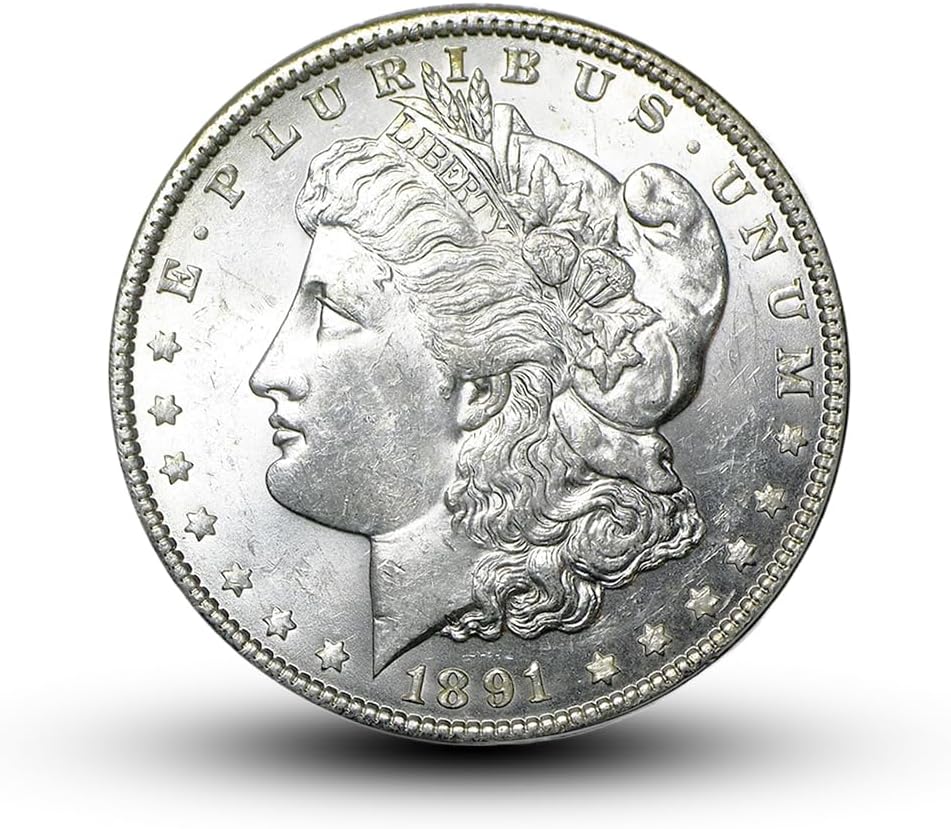 1891 S Morgan Dollar Antique U.S. Coins Collection for Collectors