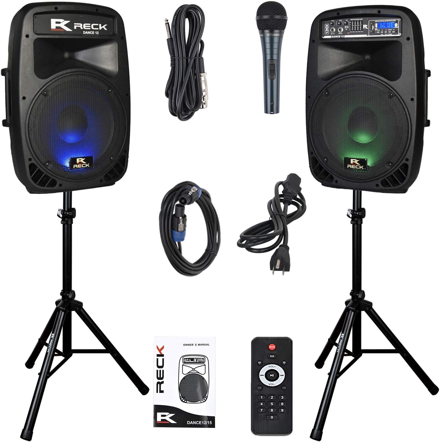 RECK DC 12 Portable 12-Inch 1000 Watts DJ/PA Speaker System