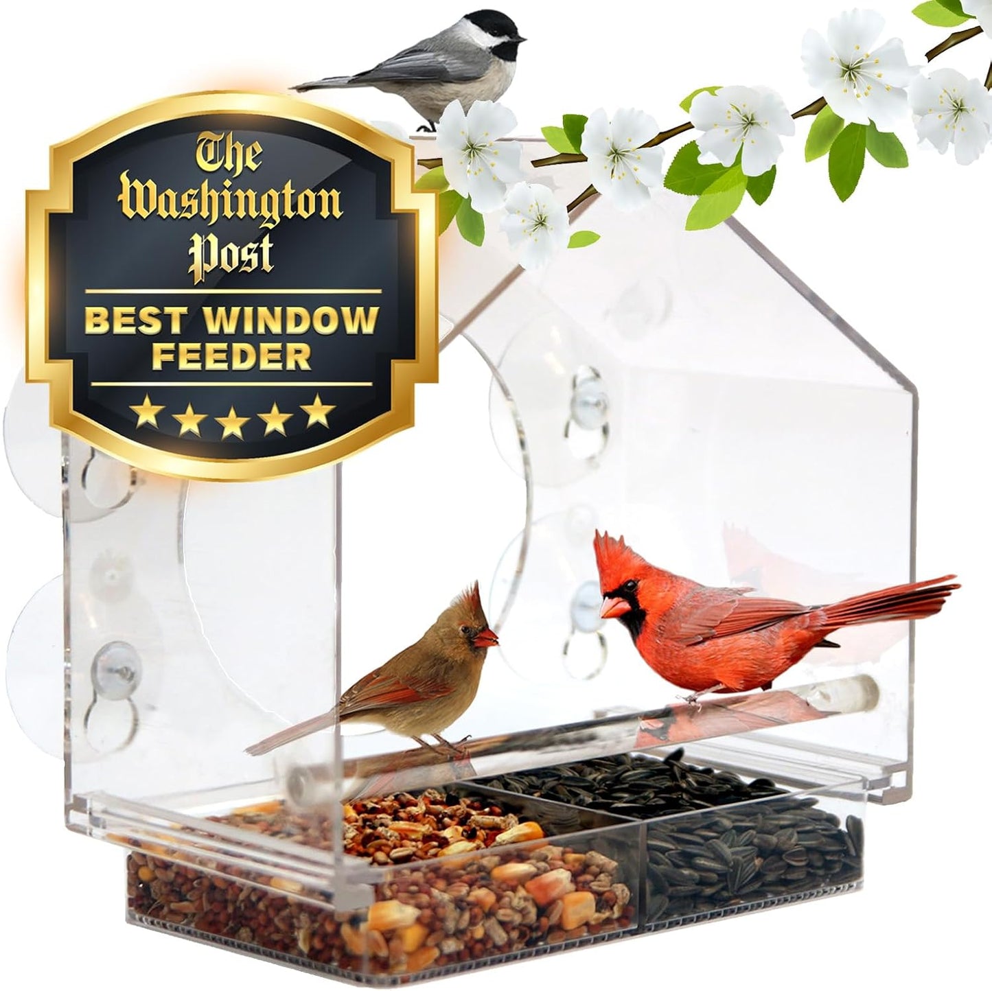 Enhanced Suction Window Bird Feeder