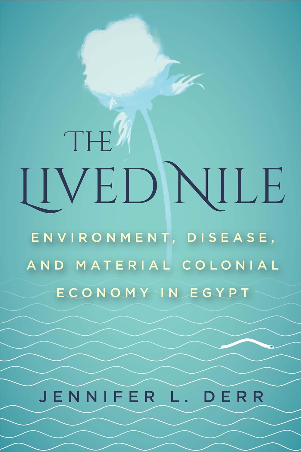 The Lived Nile: Environment, Disease, and Colonial Economy Insights