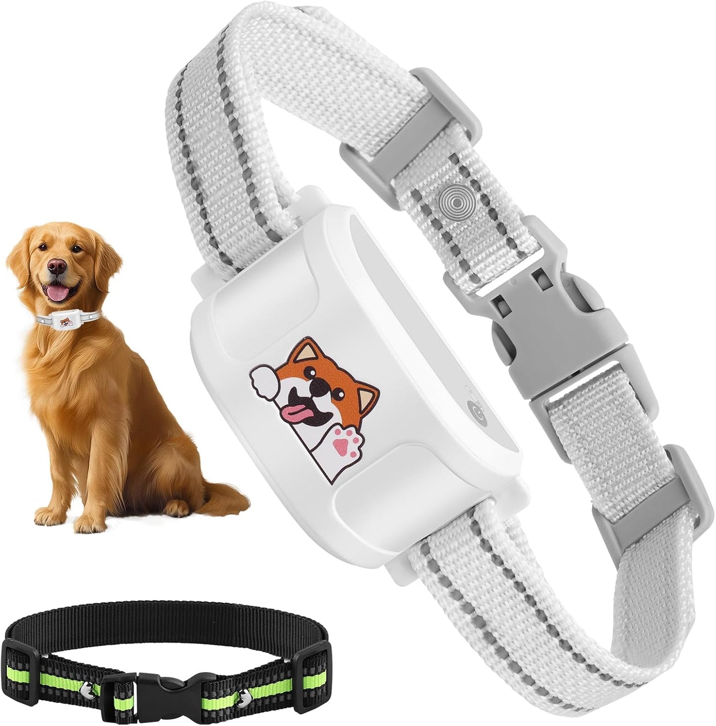 GPS Wireless Dog Fence & Training Collar with App Geo-Fence
